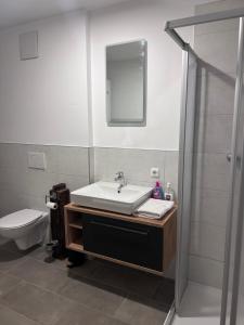 a bathroom with a sink and a shower and a toilet at Rittertal-Altholzseeblick in Altmünster