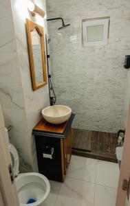 a bathroom with a sink and a toilet at Wood&Light in Hunedoara