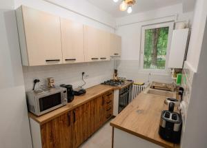 a kitchen with a microwave and a sink in it at Wood&Light in Hunedoara