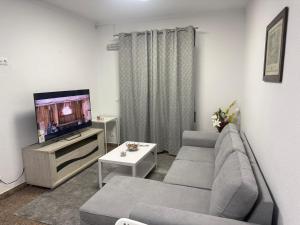 a living room with a gray couch and a tv at London Guest House in Caneças