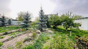 a garden with trees and plants in a yard at Hanbiike in Karakol
