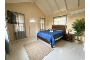 a bedroom with a bed with a blue comforter at Pink Sands-At Bel Air in Saint Philip