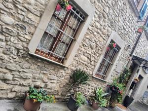 a stone building with potted plants and windows at B&B La Casa di Olga in Bobbio +15 photos
