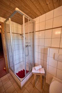 a shower stall in a bathroom with a toilet at Ferienhof Almfrieden in Balderschwang +33 photos