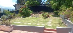 a small garden with grass and rocks in a yard at Paradise treasure view in Montego Bay