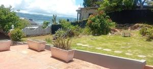 a garden with three potted plants on a patio at Paradise treasure view in Montego Bay