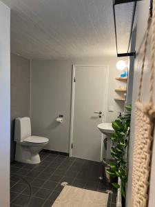 a bathroom with a toilet and a sink at Mysig Lägenhet in Varberg +10 photos