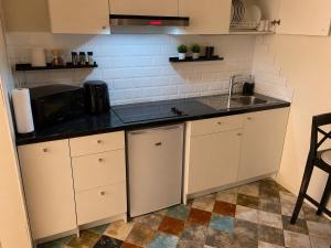 a kitchen with a sink and a microwave at Babite Quiet Apartment in Babīte