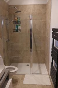 a bathroom with a shower and a toilet at South Barn in Stanningfield +28 photos