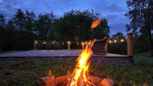 a fire pit in a yard with a fountain at Cabana Codrii Maramuresului in Giuleşti