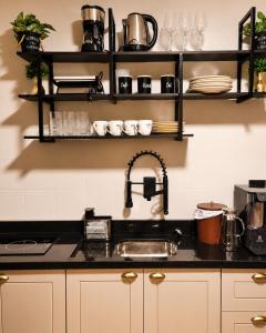 a kitchen counter with a sink and shelves at AP Central Aconchegante 03 Quartos Próx Unimed Com Garagem, Ar Quente Frio, Cozinha Completa - Até 06 Pessoas in Chapecó