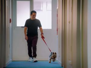 a man walking a dog on a leash in a hallway at ibis Copiapo in Copiapó