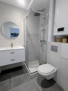 a bathroom with a shower and a toilet and a sink at Air-conditioned apartment - two bedrooms in Vichy