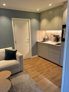 a living room with a couch and a kitchen at Nyoppusset hybelleilighet in Bjørkheim