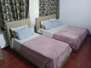 two beds sitting next to each other in a room at Altin Prendi B&B in Divjakë