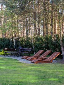 a group of chairs and picnic tables in a park at Domek Hortensja in Zawady