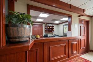 a bar with a potted plant on a wooden counter at Highlander Inn Cleveland Beachwood Near I-480 in North Randall