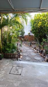 a garden with palm trees and a stone walkway at SPA Alexandre Maia quarto 2 in Juazeiro do Norte