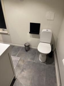 a bathroom with a toilet and a television at Mysig stuga i Nävesta in Örebro
