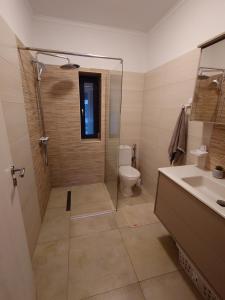 a bathroom with a shower and a toilet and a sink at Casa David in Băile Govora +16 photos