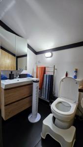 a bathroom with a white toilet and a sink at Algo Azul Something Blue in Wellington +21 photos