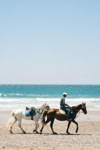 a man riding two horses on the beach at Eco Bay Surf Camp in Aourir