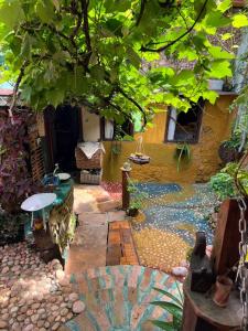 a garden with a pool of water and a tree at CASA DE RETALHOS Boutique Albergue, casaril histórico, com 5 suítes individuais e cozinha coletiva, no coração da vila de Igatu-Ba, que preserva fortes traços culturais da época do garimpo, venha viver uma experiência única! in Igatu