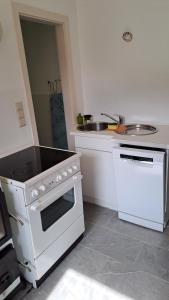 a kitchen with a white stove and a sink at Nanus Sommerfrische in Hardegg