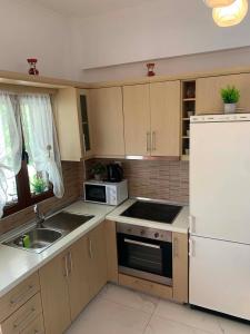 a kitchen with a sink and a white refrigerator at Miminllari APARTMENTS 2 in Pefkochori