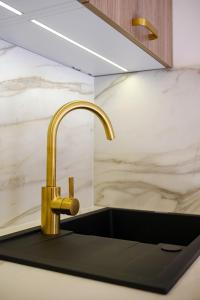 a kitchen sink with a gold faucet at ORO Baltic in Pobierowo +131 photos