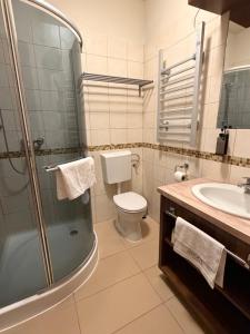 a bathroom with a shower and a toilet and a sink at Livora Boutique in Budapest +53 photos