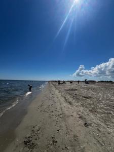 a group of people walking on the beach at Murighiol Excursii in Murighiol