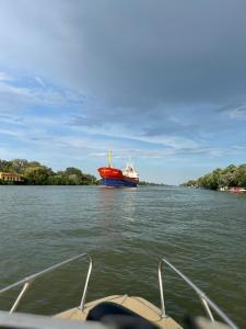 a boat in the water with a large ship at Murighiol Excursii in Murighiol