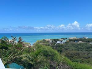 a view of the ocean from a bluff at Eagle Nest Residence -Appartement 1 in Port Maturin