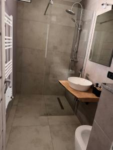 a bathroom with a shower and a sink and a toilet at CozyCloud in Poiana Mărului
