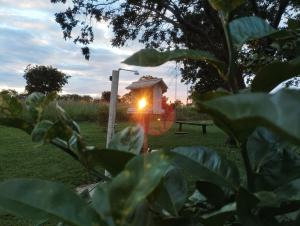 a bird house with a light in a park at Sítio Azevedo in Buenópolis +4 photos
