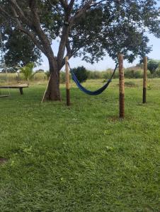a blue hammock tied to a tree in a field at Sítio Azevedo in Buenópolis