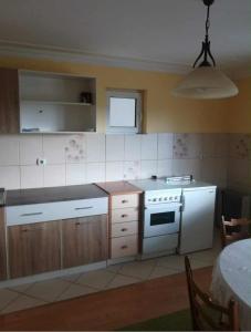 a kitchen with a white stove top oven next to a table at Studio u selu Mačkat in Mačkat
