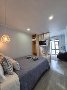 a bedroom with a large bed and a television at V4 in Horta