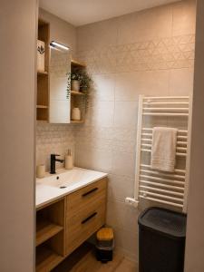 a bathroom with a sink and a mirror at LE 23 ter in Jarny