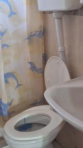 a bathroom with a toilet and a sink at Kuća Vranića,Sevojno in Ðurovići +17 photos