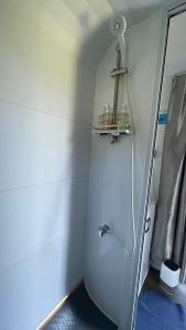 a shower in a bathroom with a shower head at Whistler - Apple Pod in Klamath