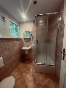 a bathroom with a shower and a toilet and a sink at DOMEK NR 5 z dwiema sypialniami in Tleń