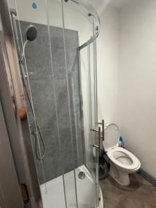 ein Badezimmer mit Dusche und Toilette in der Unterkunft PLUS Properties Dike 1 in Stoke on Trent