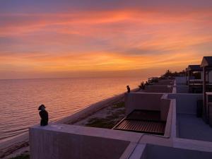 a cat sitting on a wall looking at the ocean at Oceanfront Paradise Family Friendly in Telchac Puerto