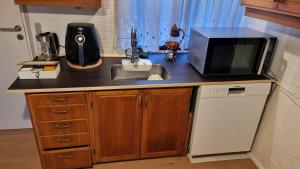 a kitchen counter with a sink and a microwave at Casa del Amor in Hyldtofte