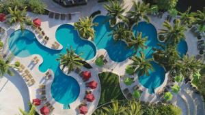 an overhead view of a resort swimming pool with palm trees at Kimpton Tres Rios - All Inclusive in Playa del Carmen