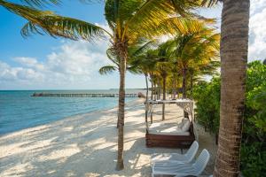 a beach with palm trees and chairs and the ocean at Kimpton Tres Rios - All Inclusive in Playa del Carmen