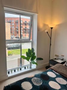a bedroom with a bed and a window with a plant at Modern Townhouse Birmingham in Birmingham