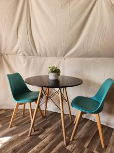 two chairs and a table with a plant on it at Alma Lemu Lodge in Los Ladrillos